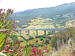 bridge-896027_960_720